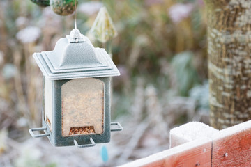 frosty birdfeeder