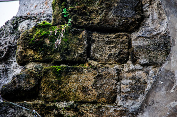 very old brick wall background vintage.