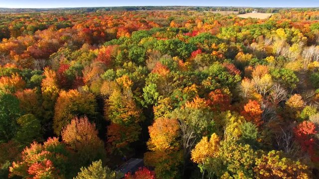Scenic Aerial of Autumn Colors, Trees, Forests.
