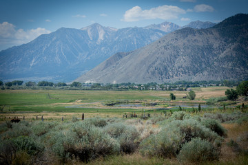 Carson Valley