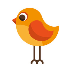 cute bird isolated icon vector illustration design