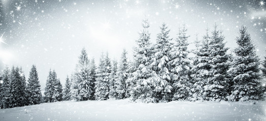 snowy winter landscape