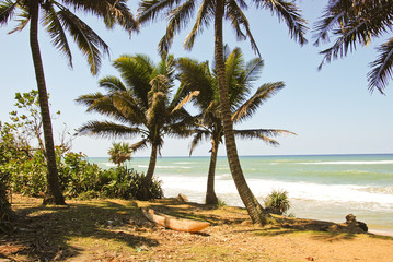 Obraz premium Panoramic view of Madagascar landscape