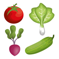 fresh vegetables healthy food vector illustration design