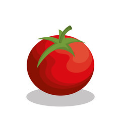 fresh tomato vegetable isolated icon vector illustration design