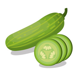 fresh cucumber vegetable isolated icon vector illustration design