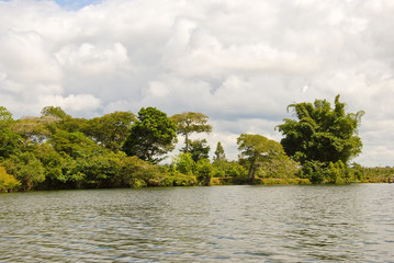Obraz premium Panoramic view of Madagascar landscape