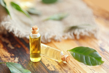 Spa composition with tea oil in small glass bottles and fresh leaves