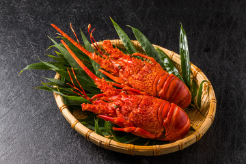 伊勢海老　 Japanese high quality lobster