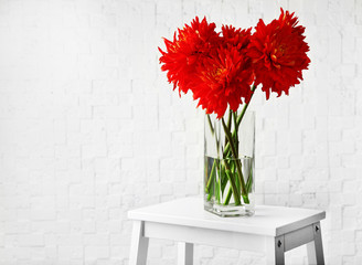 Beautiful red dahlia flowers in vase on light background
