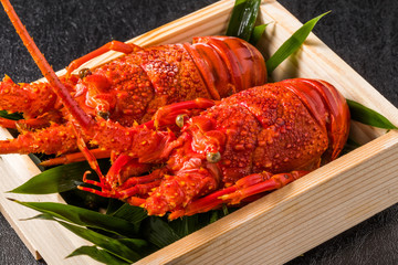 伊勢海老　 Japanese high quality lobster