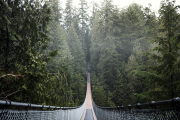 Capilano suspension bridge Vancouver, British Columbia Canada. Suspension bridge on a foggy and misty day. Bridge in the forest surrounded by nature.  - obrazy, fototapety, plakaty