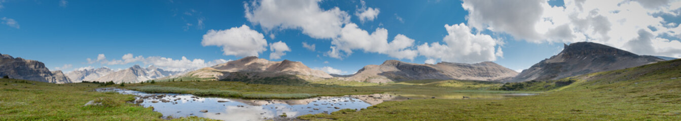 Fototapeta premium Scenic summer in the mountains