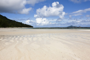 Seychelles Beach Silhouette