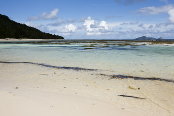 Seychelles Silhouette