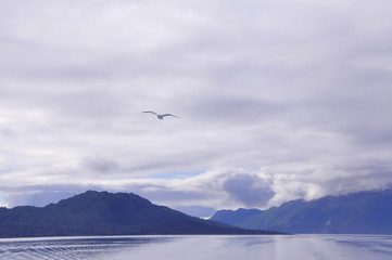Alaska Summer Cruise