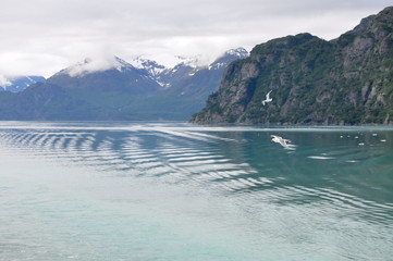 Fototapeta na wymiar Alaska Cruise