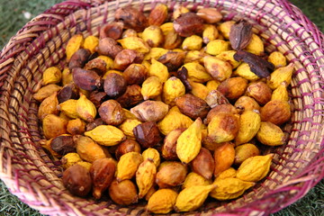 Making of Argan oil  in Morocco