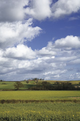 Fototapeta na wymiar english rural farmland