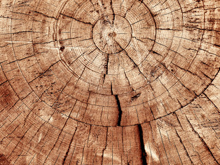 close-up wooden cut texture with burning frame