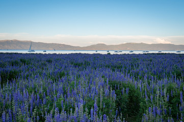 Lake Tahoe