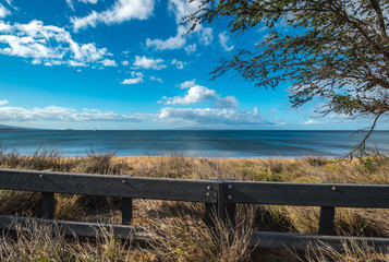 Fence Along Island Beach