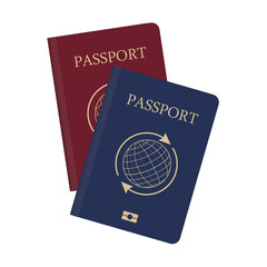 Passport vector