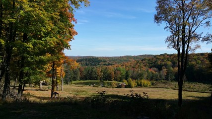 At the Mountain Fall 2016