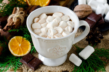 Christmas hot chocolate with marshmallow