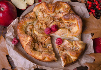 Home-made apple cake with cinnamon and raspberry. Closeup.