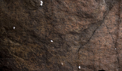 Natural Hard Rock Texture Background