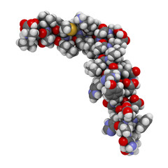 Beta-amyloid (Abeta) peptide, 3D rendering. Major component of plaques found in Alzheimer's disease.