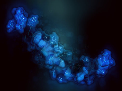 Beta-amyloid (Abeta) peptide, 3D rendering. Major component of plaques found in Alzheimer's disease.