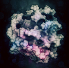 Bovine beta-lactoglobulin protein, 3D structure. Major whey protein.