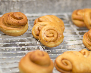 Freshly Baked Cinnamon Rolls