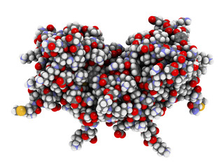 Interferon gamma (IFNg) cytokine molecule, 3D rendering. 