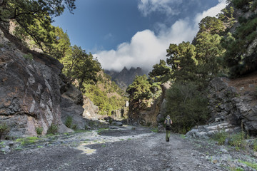 Canyon of fear la palma