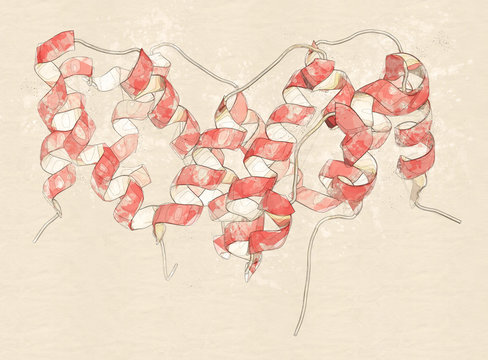 Interferon Gamma (IFNg) Cytokine Molecule, 3D Rendering. 