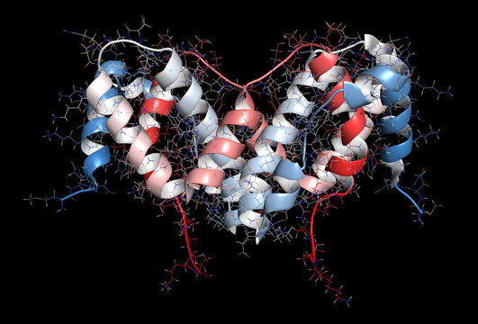 Interferon gamma (IFNg) cytokine molecule, 3D rendering.