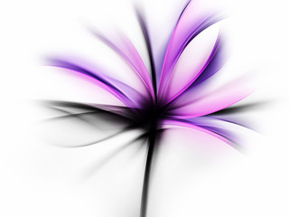 Purple Flower Design Abstract Background