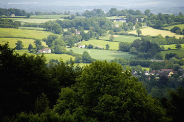 Obraz premium herefordshire