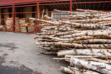 timber harvesting in the countryside in a small factory. The trunks of old trees sawed and packaged. Production of wood for fireplaces.