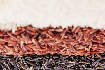 Strips of red, black and white rice close-up. Rice texture background. Macro.