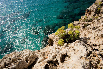 Stone cliff in a beautiful blue sea Cyprus