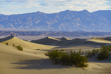 The beautiful Mesquite Flat Dunes