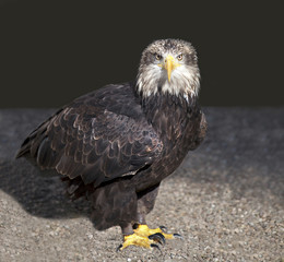 I said No Photography!