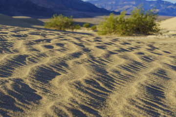 The beautiful Mesquite Flat Dunes