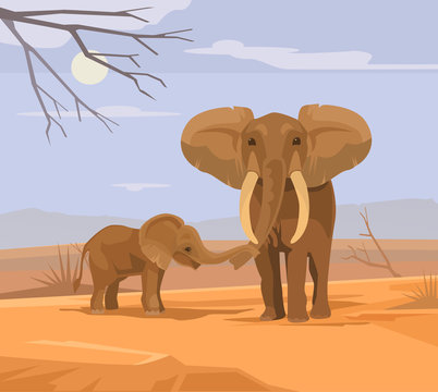 Two elephants characters in Africa. Vector flat cartoon illustration