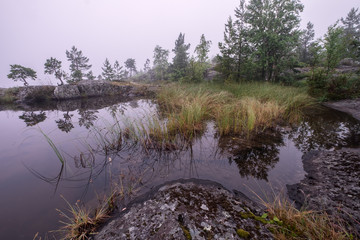 Reed covered by thick fog are reflected in the mirrored surface of a small pond in cape Kurkiniemi, Russia, Karelia, Ladoga lake.