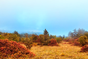 Foggy autumn evening in Val Rosandra